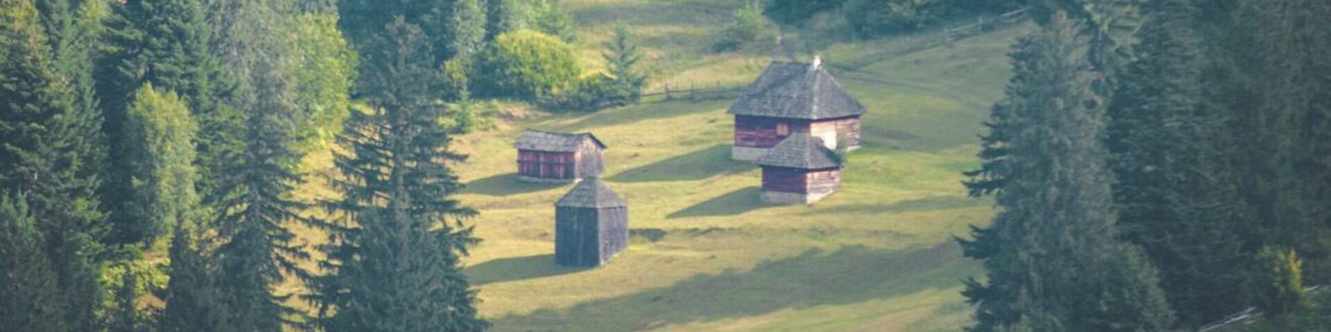 A rural landscape with a cluster of wooden buildings surrounded by dense forest.