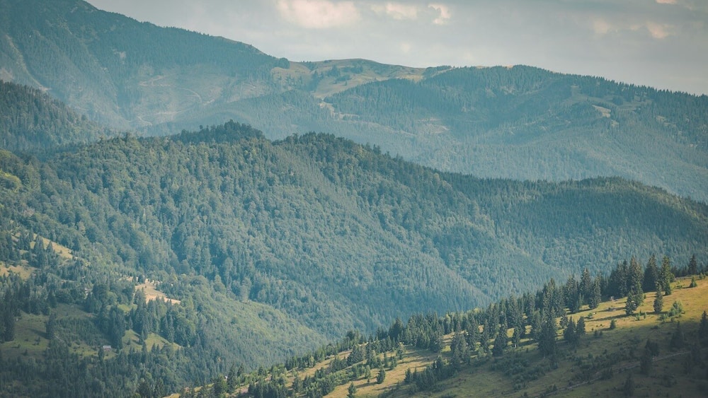 A mountainous landscape with dense forests and rolling hills.