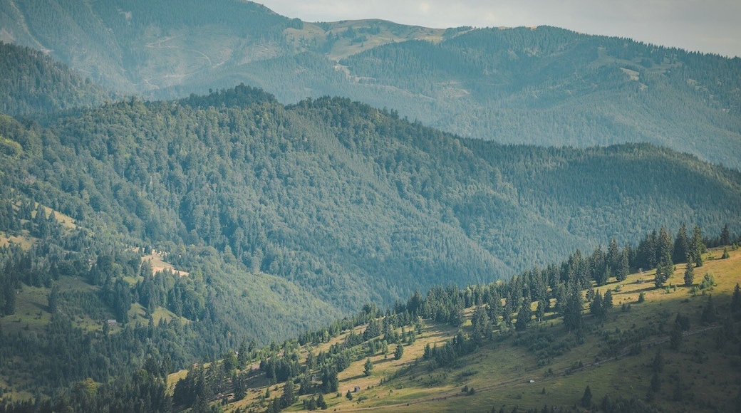 Endless rolling hills in Maramures!