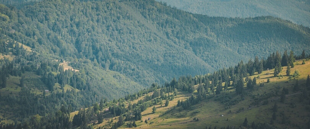 Endless rolling hills in Maramures!