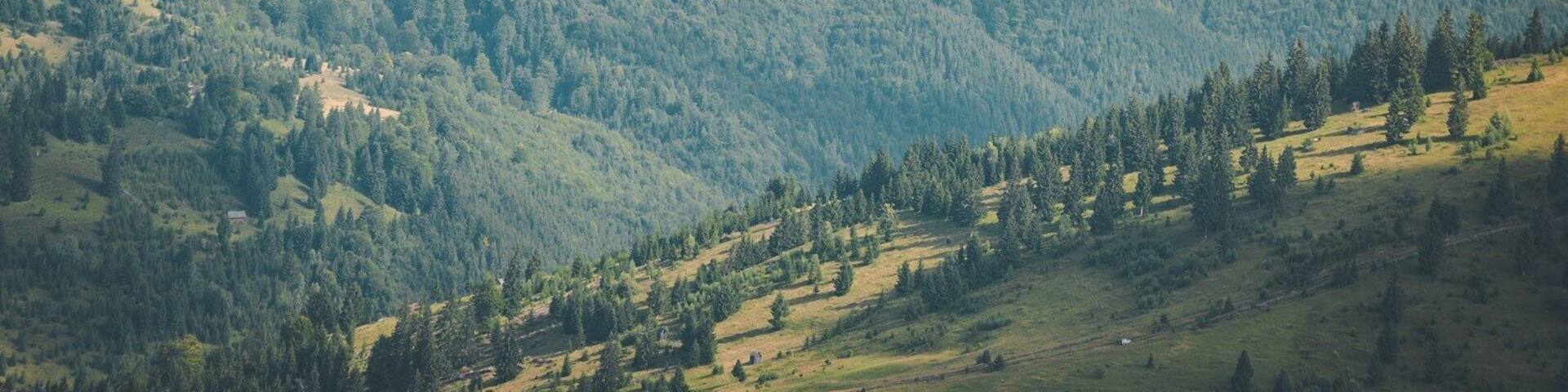 A mountainous landscape with dense forests and rolling hills.