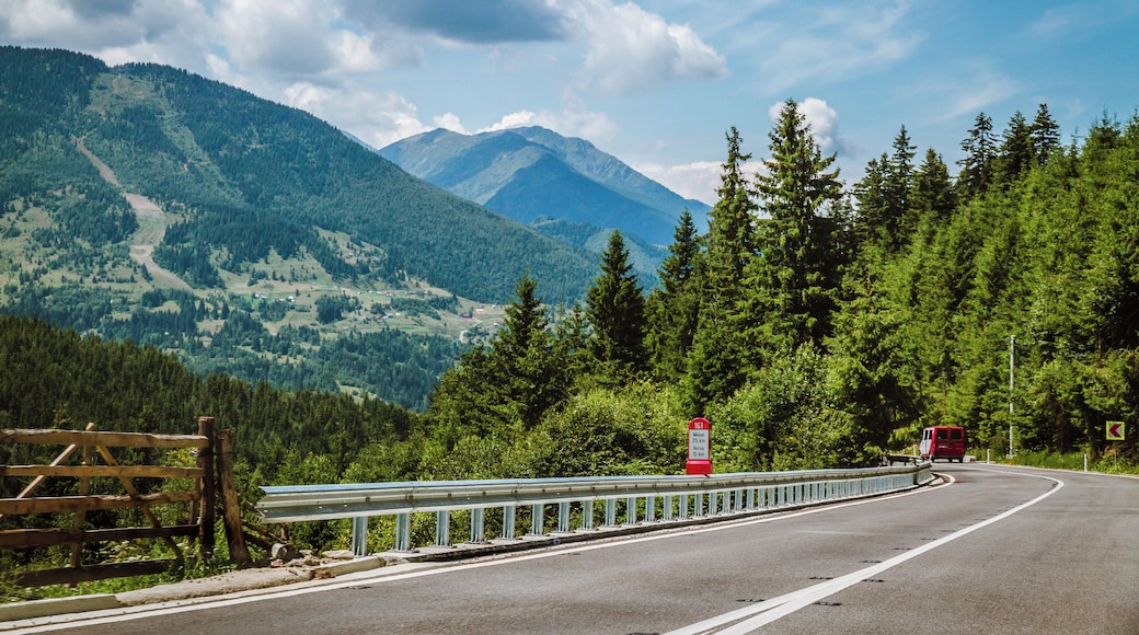 Alt. 1400 m, perfect road and beautiful scenery. Prislop Pass in the north of Romania, crossing Rodna Mountains. You can stop in Borsa for a night or two and explore the mountains around the resort or even use the chairlift that takes you near a very beautiful waterfall - Cascada Cailor.