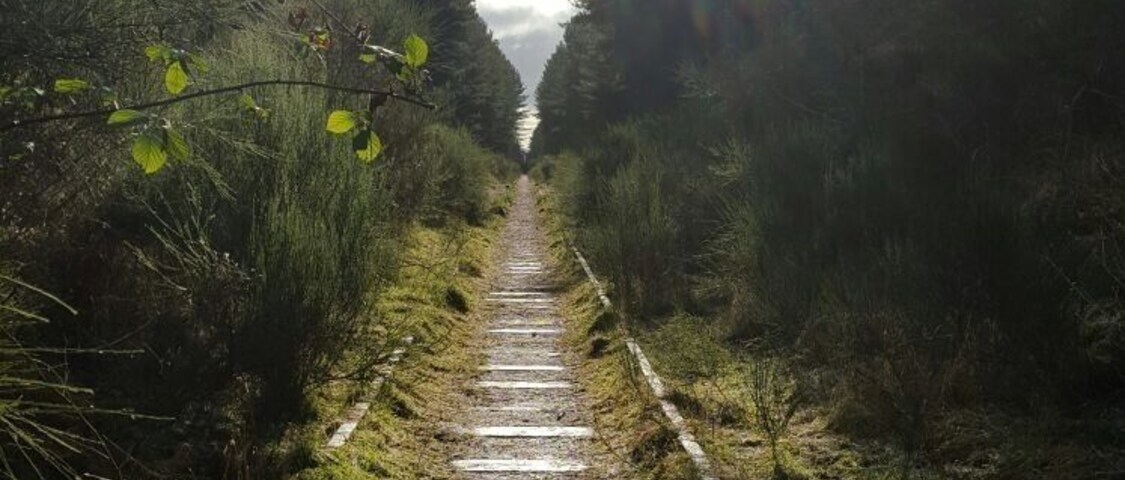 Came across a old disused railway line , brilliant to walk along ....so quite, only the singing birds to listen to,
