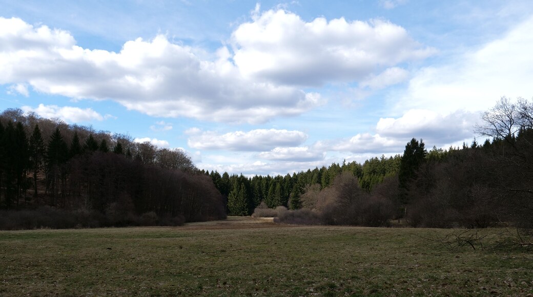 This is a picture of the protected area listed at WDPA under the ID