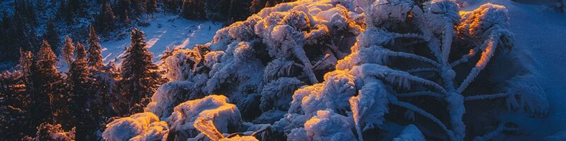 The second sunrise of the year, on a very cold morning, seen from the plateau near the top of Ceahlau.
www.doruoprisan.com
#snow