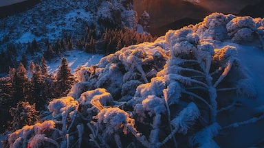 The second sunrise of the year, on a very cold morning, seen from the plateau near the top of Ceahlau.
www.doruoprisan.com
#snow
