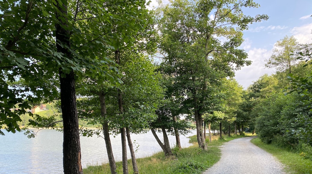 Round Top kommunale park