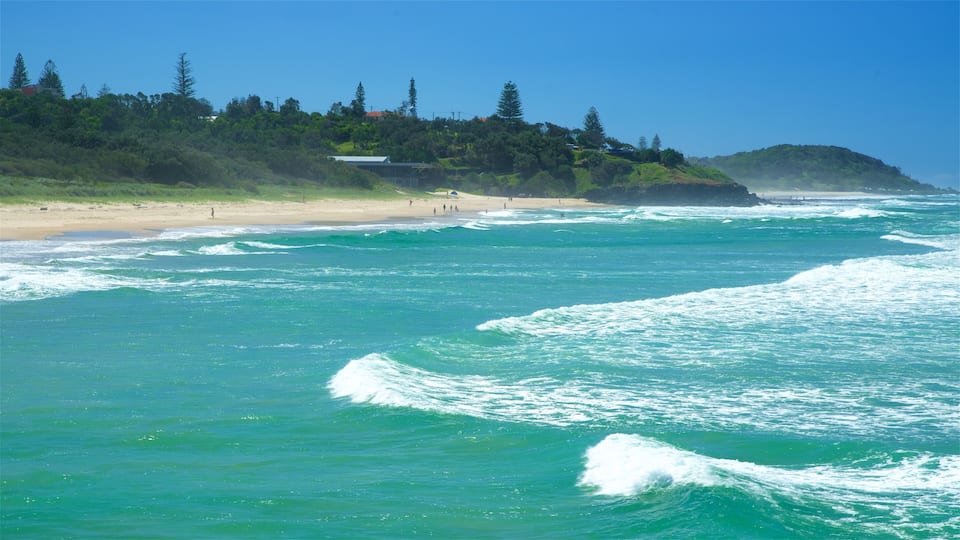 De nordlige elvene som viser strand