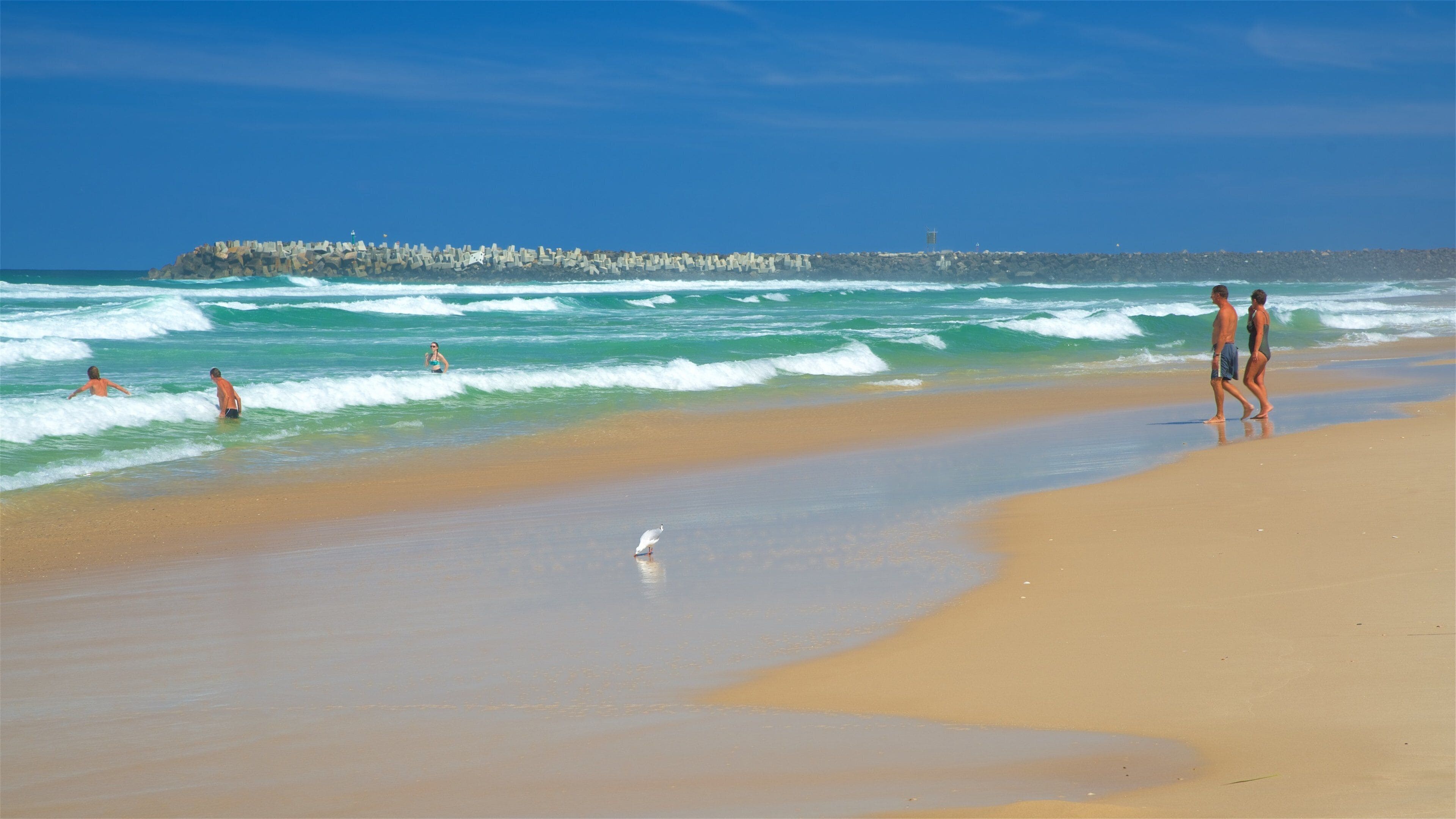 Lighthouse Beach showing a beach