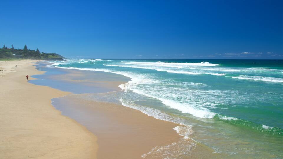 A beach with waves, a clear sky, and a distant shoreline with trees.