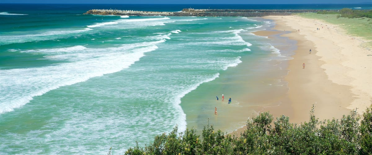 Lighthouse Beach showing a sandy beach