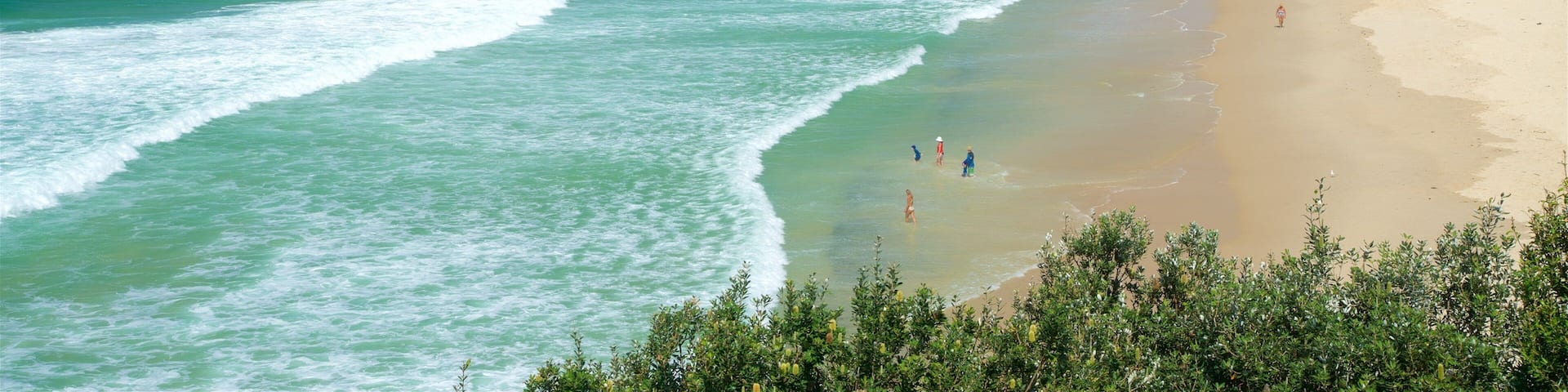 Lighthouse Beach showing a sandy beach