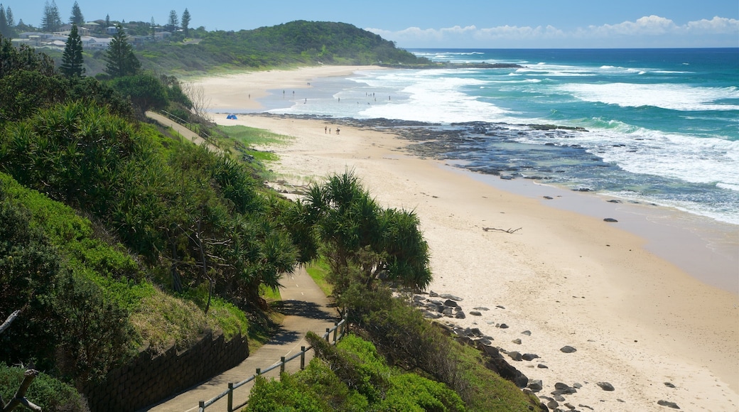 Shelly Beach que incluye una playa de arena