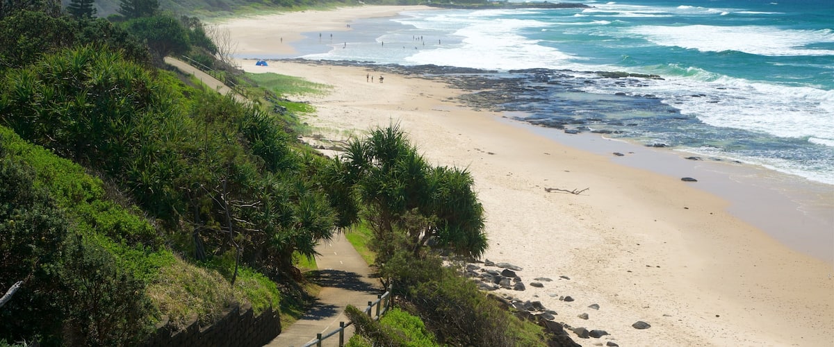 Shelly Beach featuring a beach