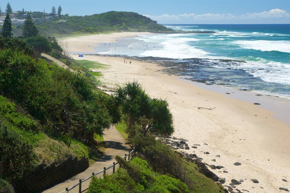 A beach with waves, a wooden walkway, and greenery.