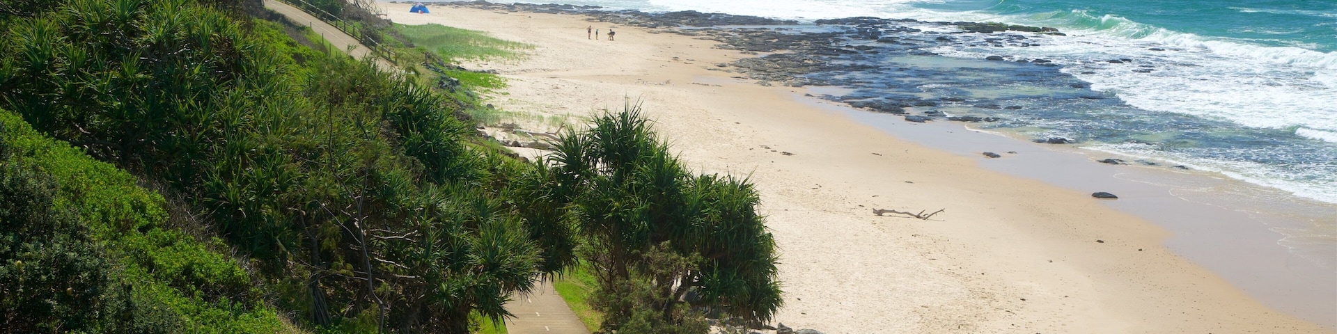 Shelly Beach showing a beach