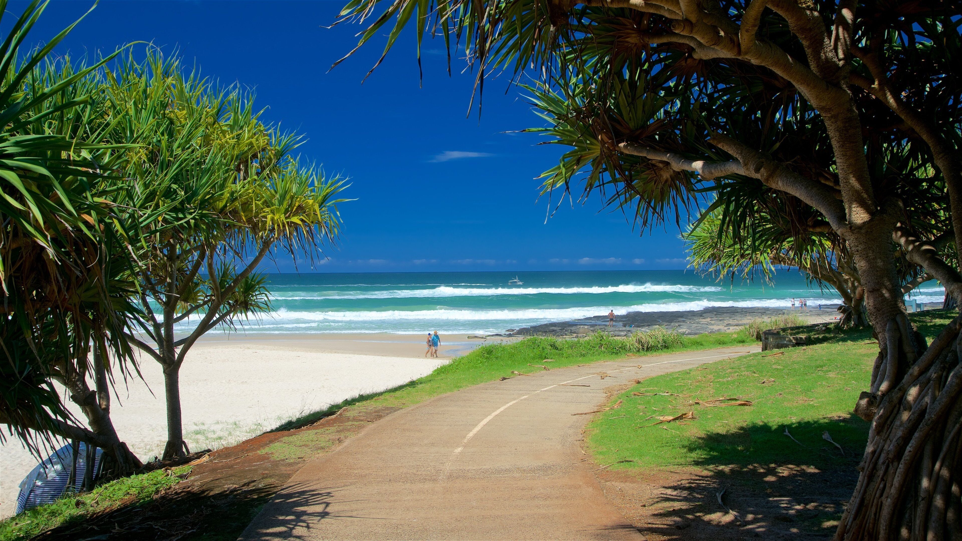 Shelly Beach showing a sandy beach