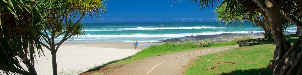 Shelly Beach showing a beach