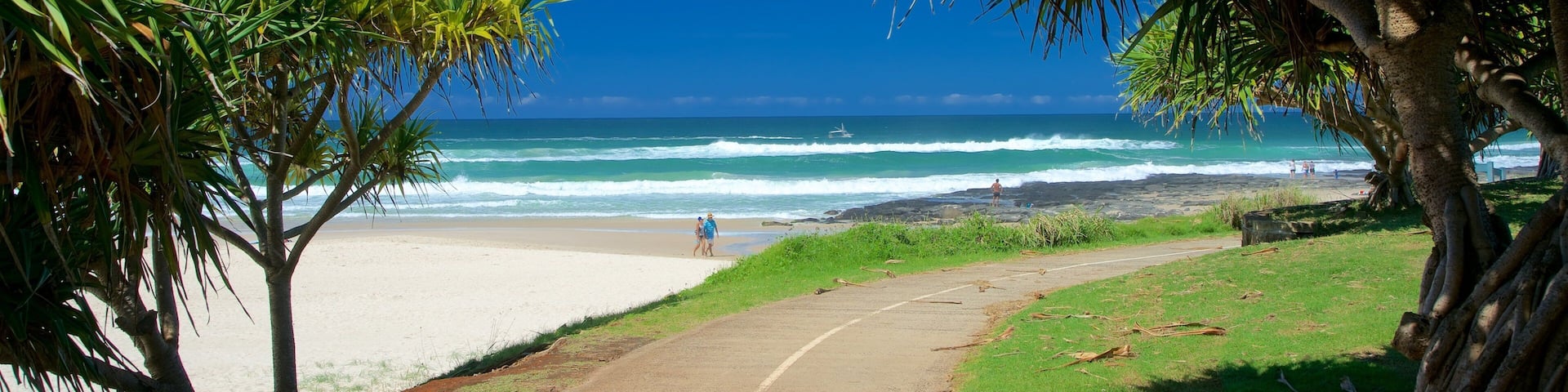 Shelly Beach which includes a beach