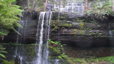The area is fresh green and peaceful. Just sit back and hear the water and the birds.
#National Parks