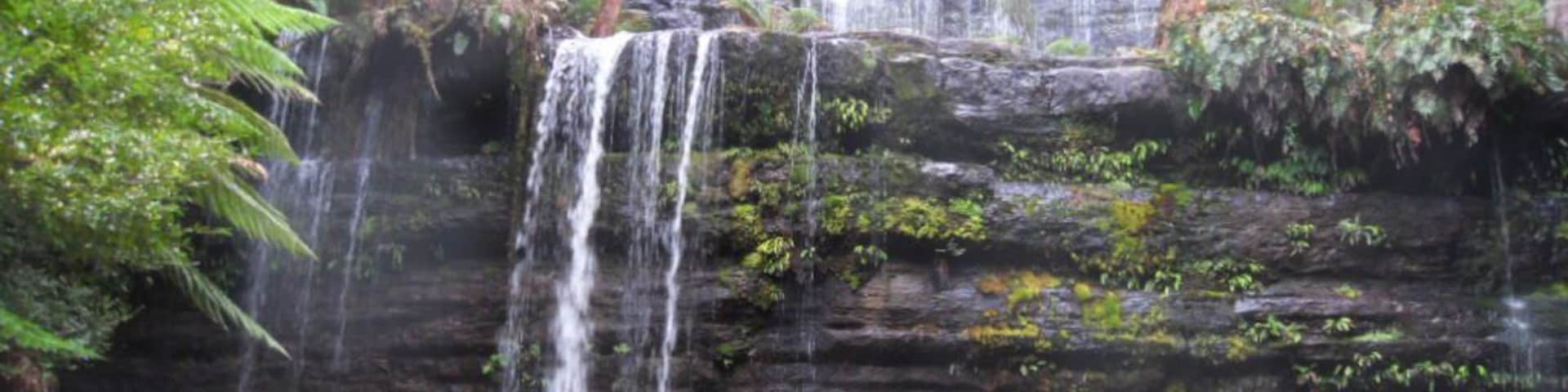 The area is fresh green and peaceful. Just sit back and hear the water and the birds.
#National Parks