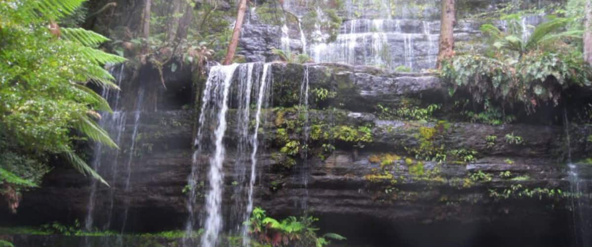 A waterfall cascading over a rocky cliff surrounded by lush green foliage.