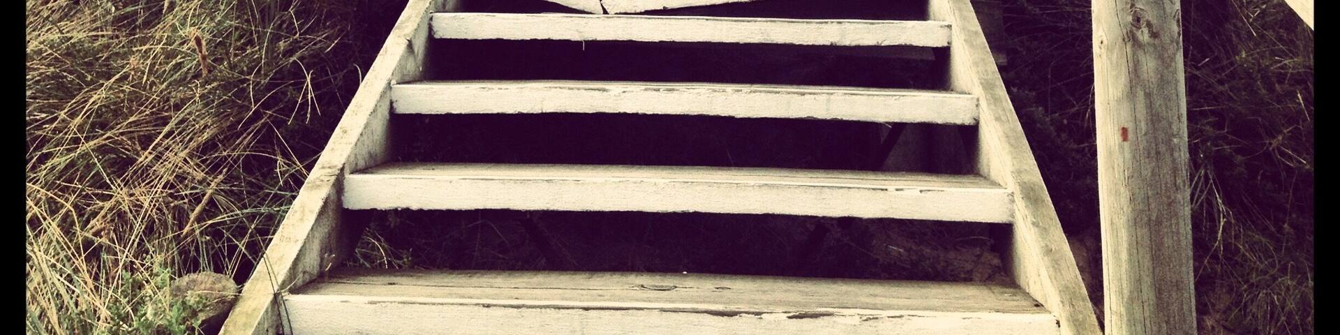 The stairs to the top of Truganini's lookout on Bruny Island. #weekendgetaway #Australia