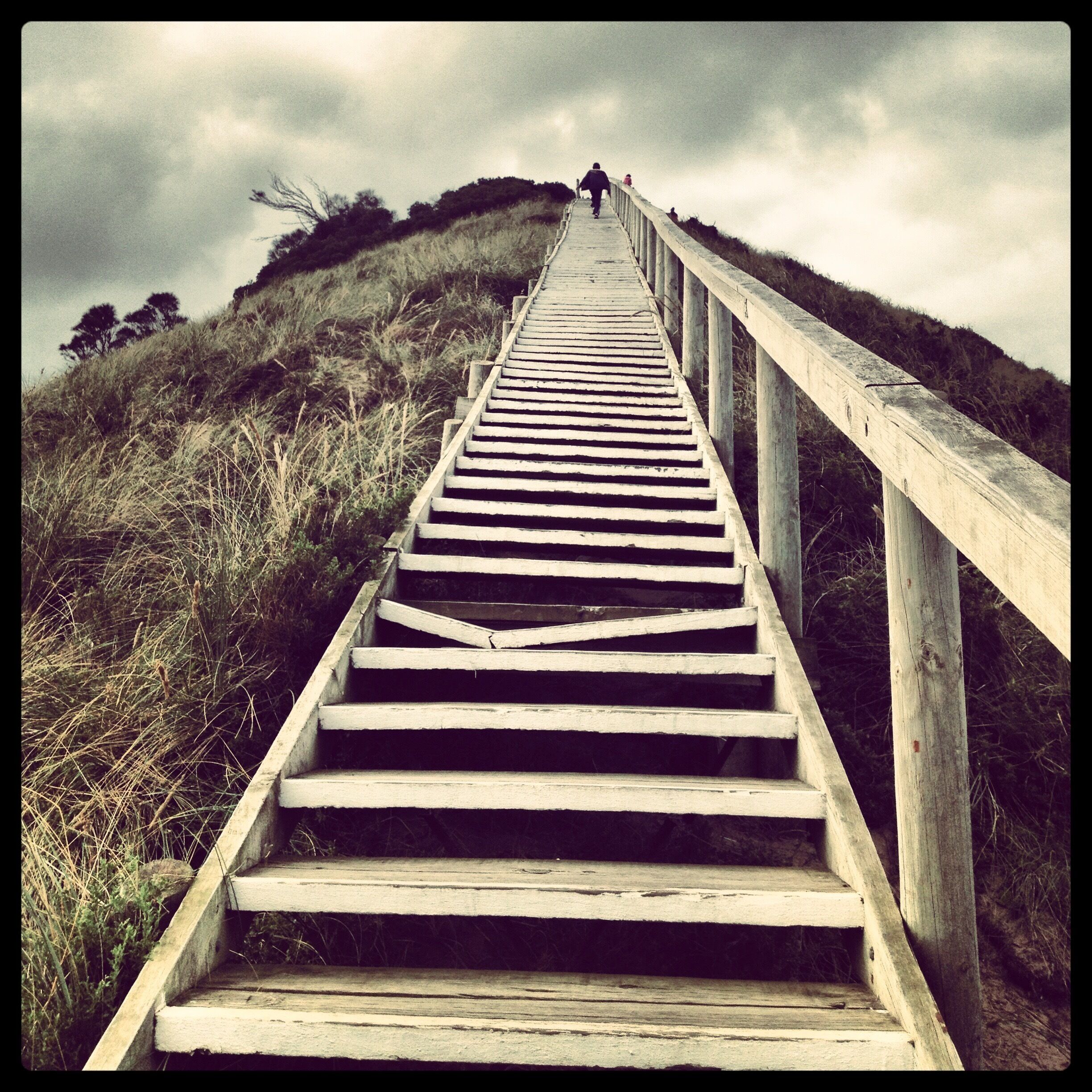 A wooden staircase leading uphill with a guardrail on one side.