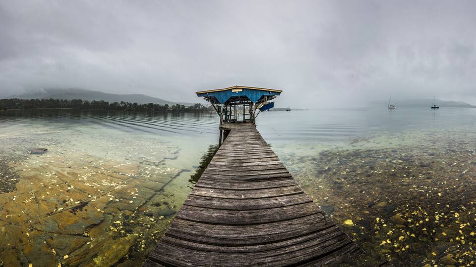 A wooden pier leading to a blue shelter by a calm lake with clear water and floating leaves.