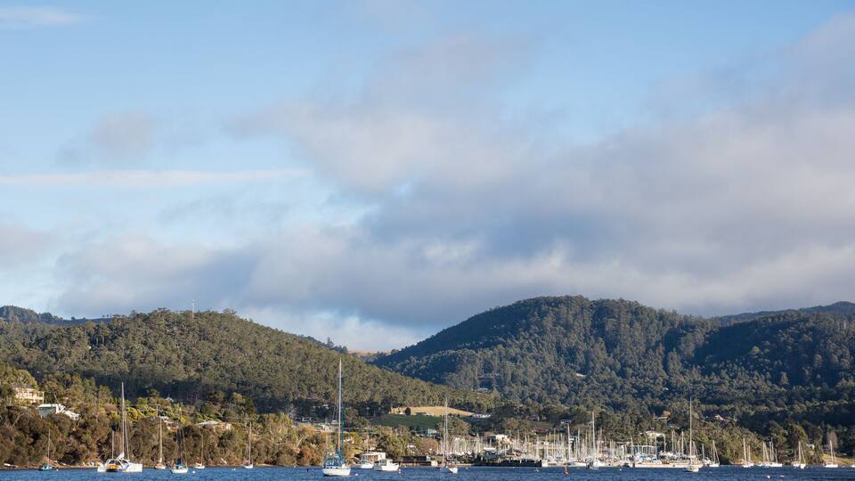 A harbor with sailboats and a forested hill in the background.