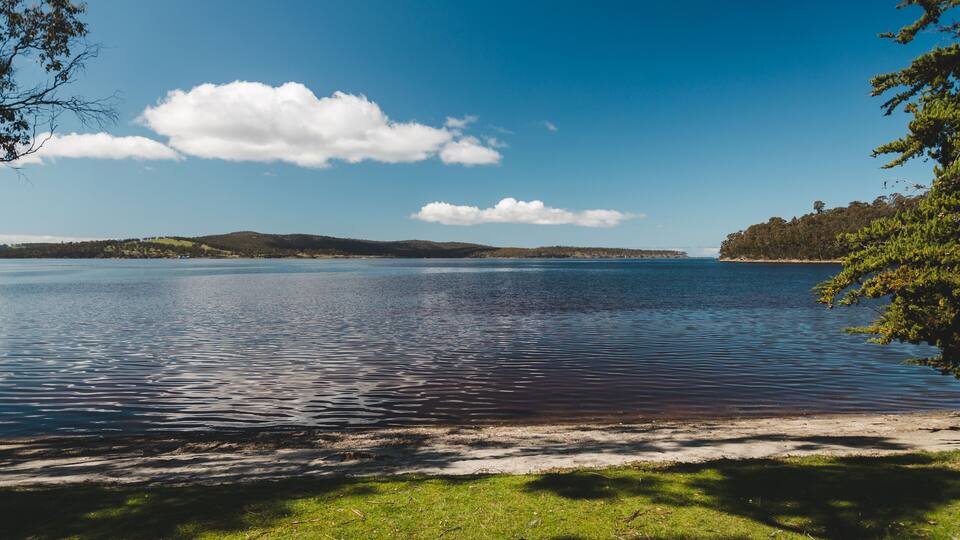 A calm lake with a clear sky, surrounded by grassy areas and trees.