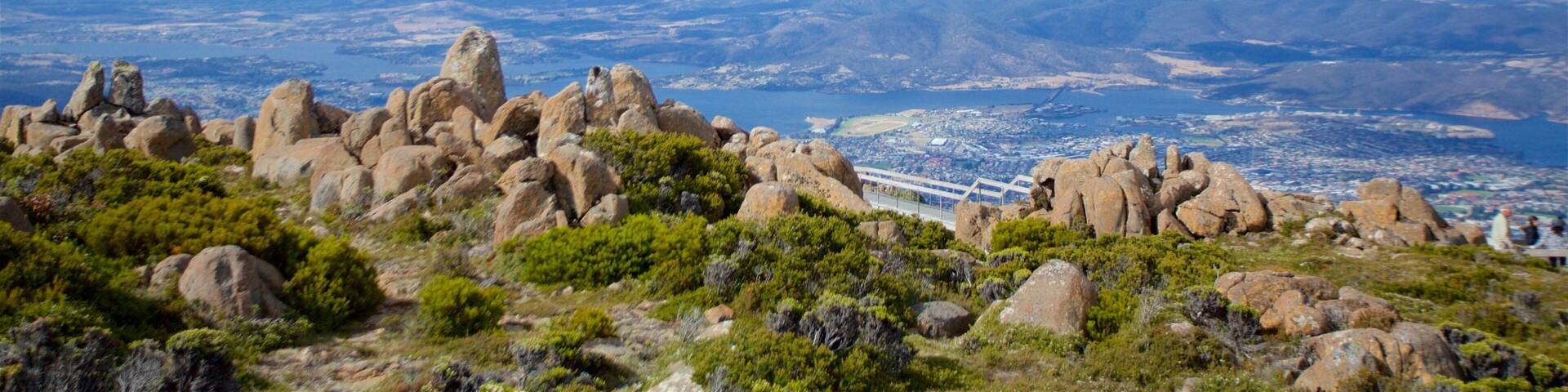 Mt. Wellington