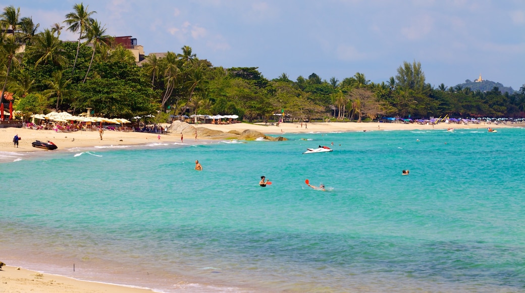 Chaweng Noi Beach showing a beach and general coastal views
