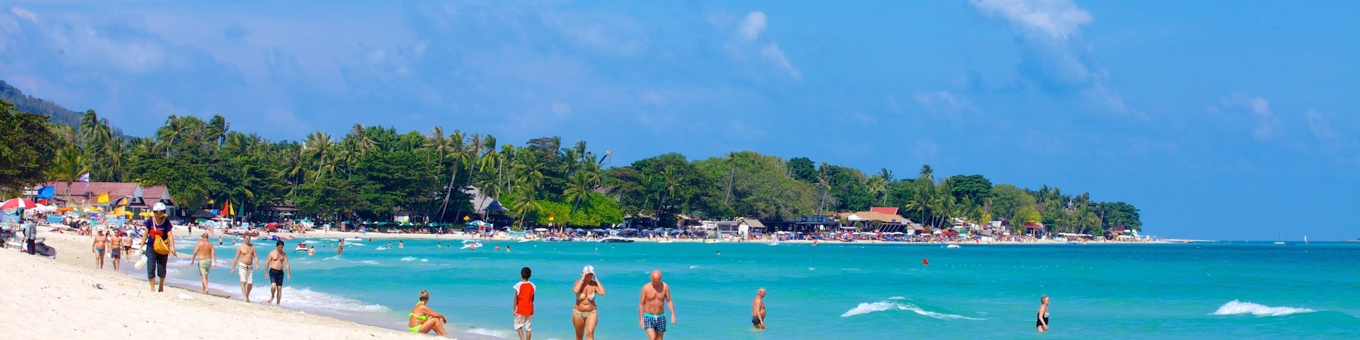 ์ฐจ์ฝ ๋
ธ์ด ๋น์น ์ ํน์ง ํด๋ณ