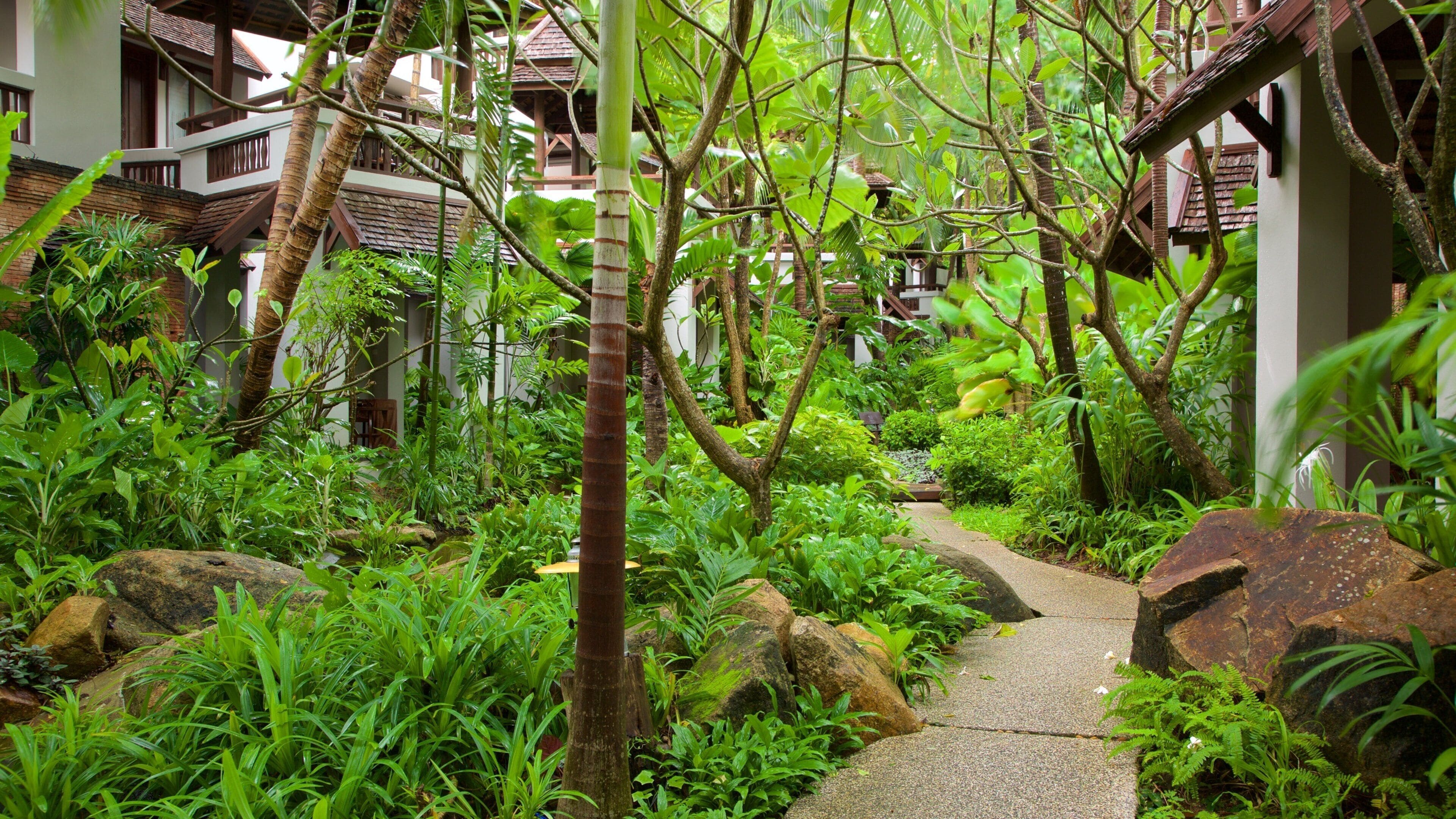 Chaweng Noi Beach featuring a garden