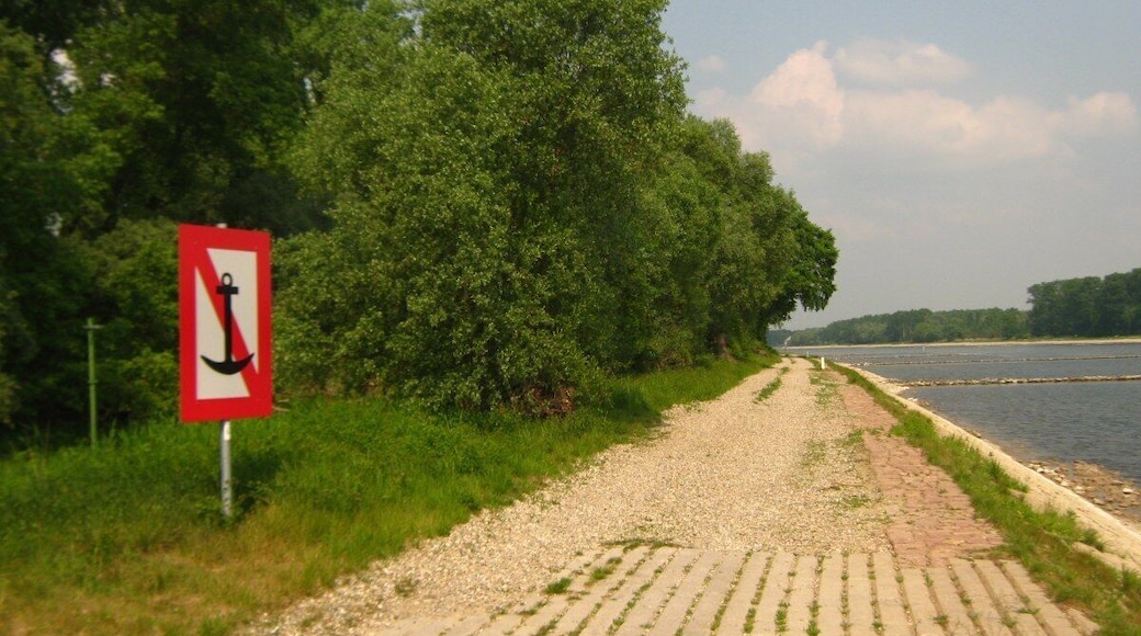 2011-05-01-153922_48,968000; 8,233298.JPG