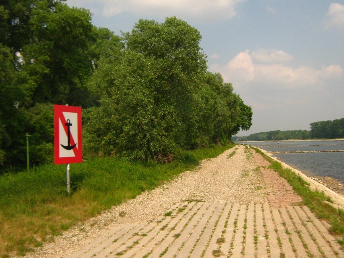 A gravel path beside a river, a no-anchor sign, and dense green trees.