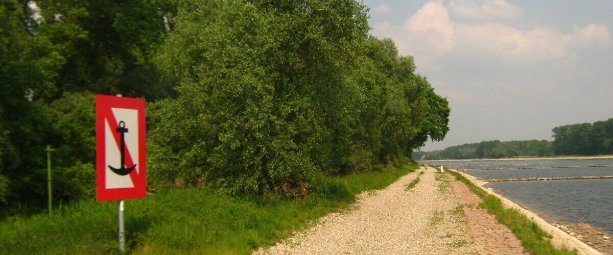 A gravel path beside a river, a no-anchor sign, and dense green trees.