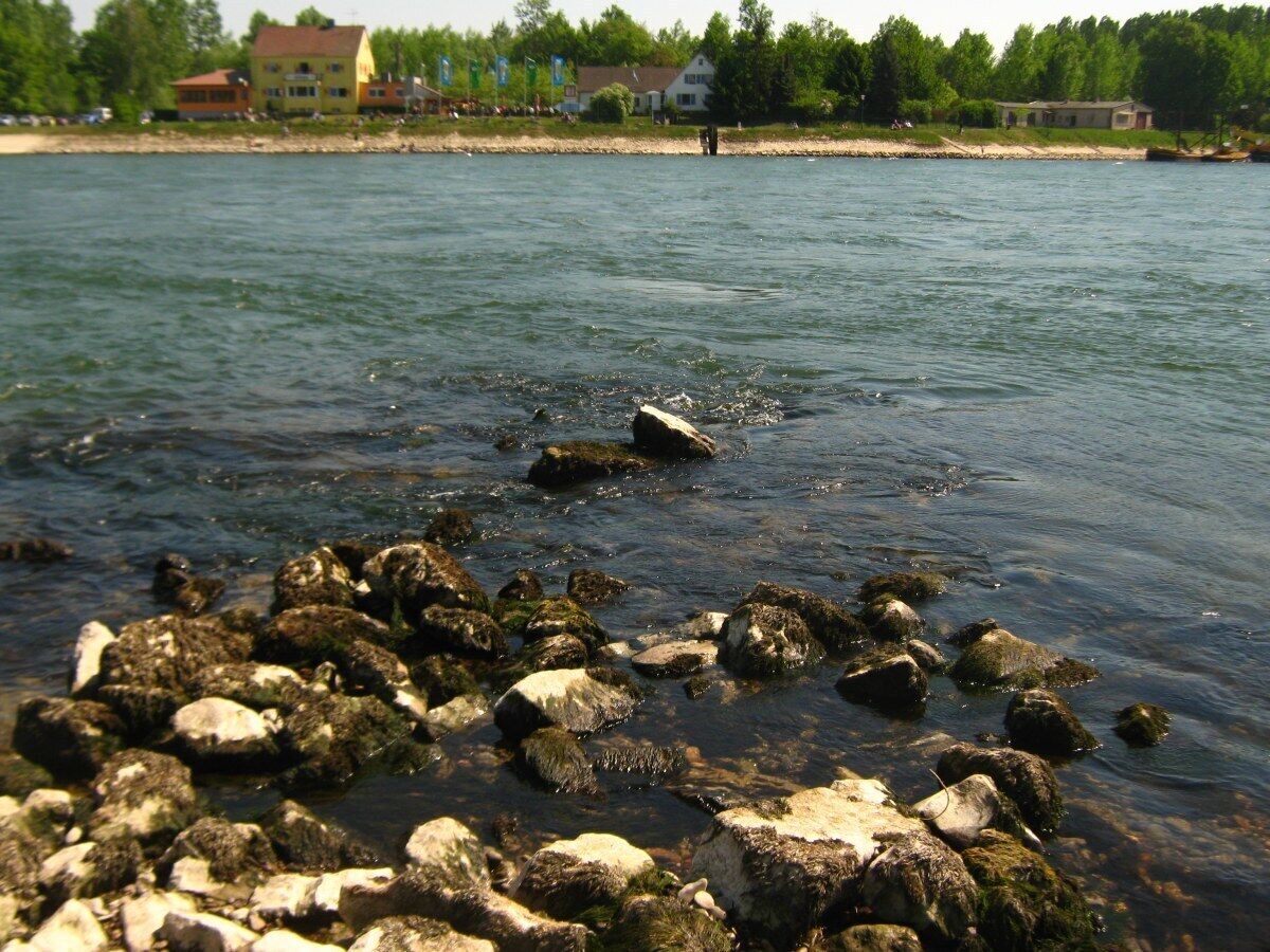 2011-04-25-143431_48,977762; 8,253961.JPG