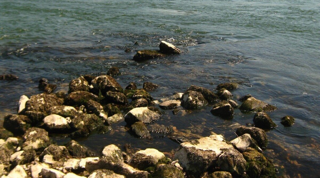 2011-04-25-143431_48,977762; 8,253961.JPG