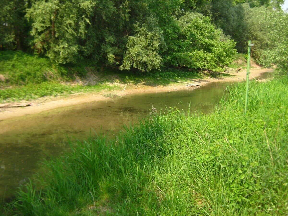 2011-05-01-153910_48,968023; 8,233335.JPG