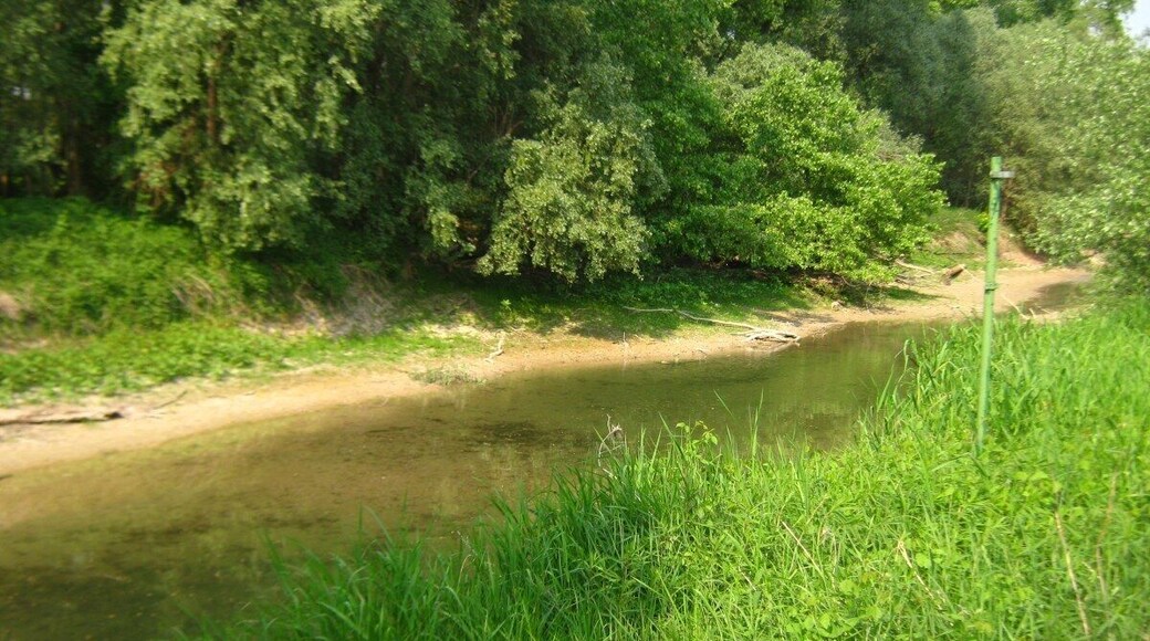 2011-05-01-153910_48,968023; 8,233335.JPG