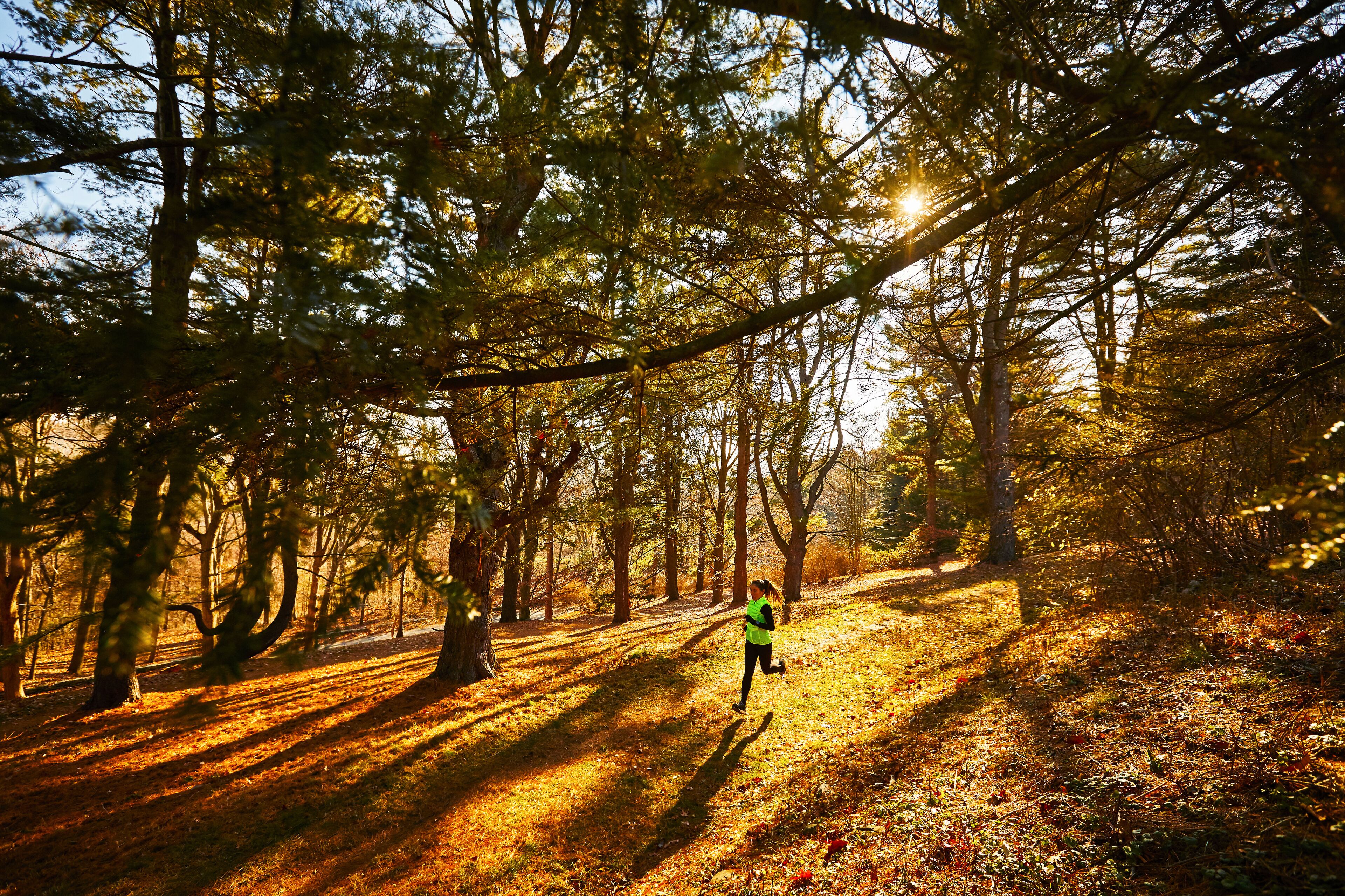 A Female Athlete Running In The Park At Arnold Arboretum