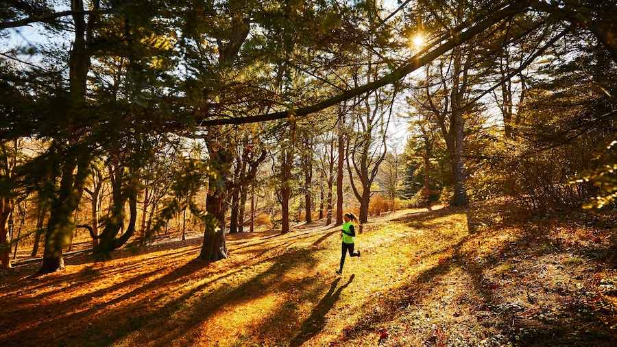 アーノルド パーク