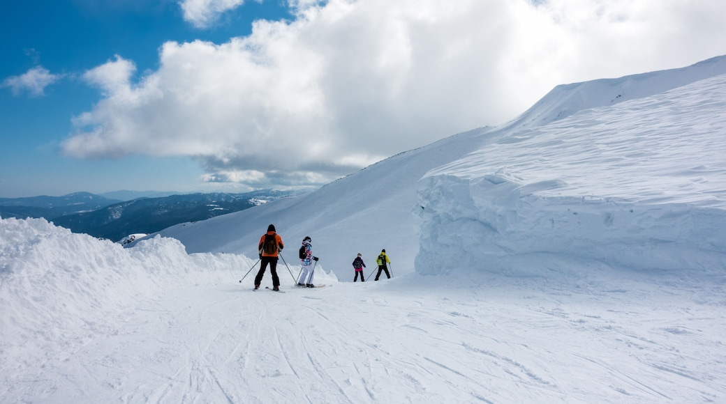 Greek Peak Mountain Resort