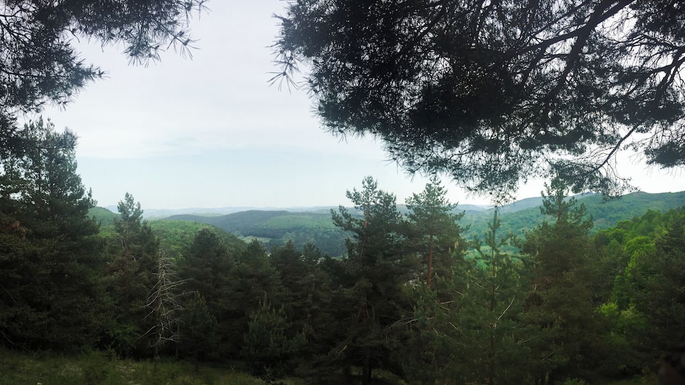 Beautiful mountainous area of Romania I came across last year and drove back there this spring.
#Green