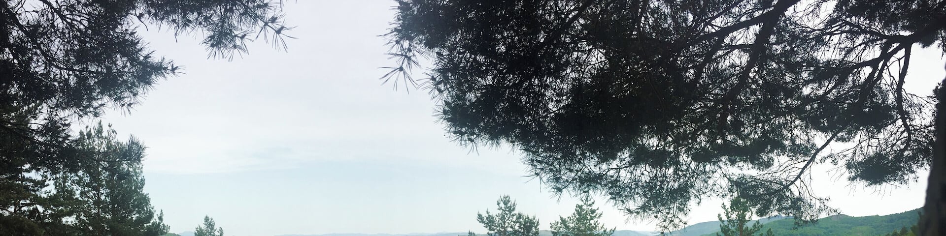 Beautiful mountainous area of Romania I came across last year and drove back there this spring.
#Green