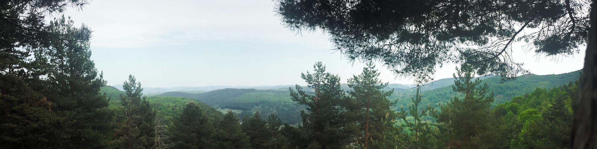 Beautiful mountainous area of Romania I came across last year and drove back there this spring.
#Green