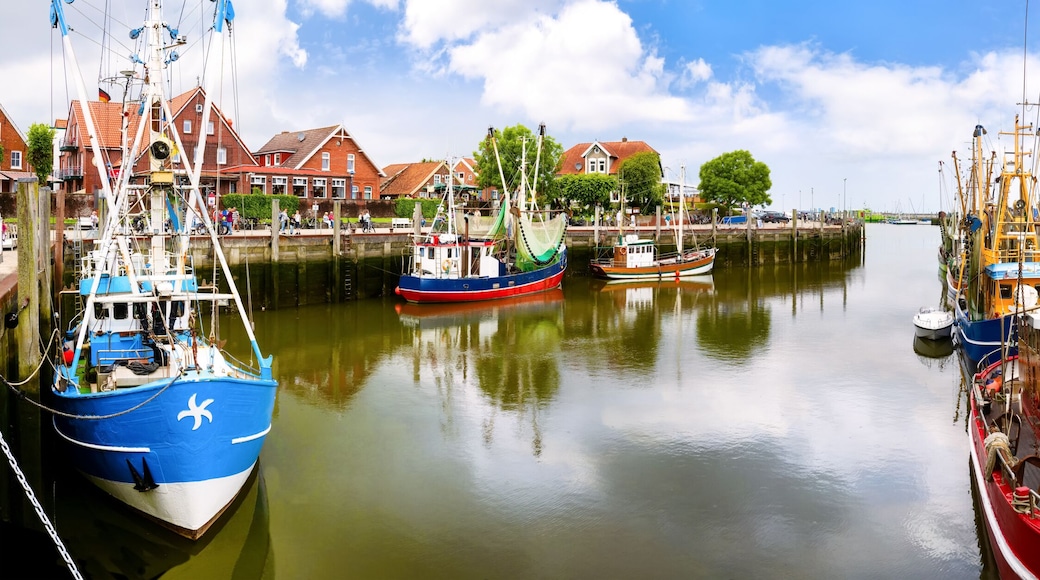 نويهارلينجرسيل