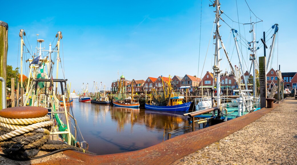 Traditional harbor scene with fishing boats in Neuharlingersiel , Nordsee, Germany